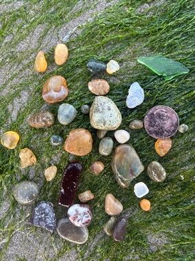 mystery box for moth